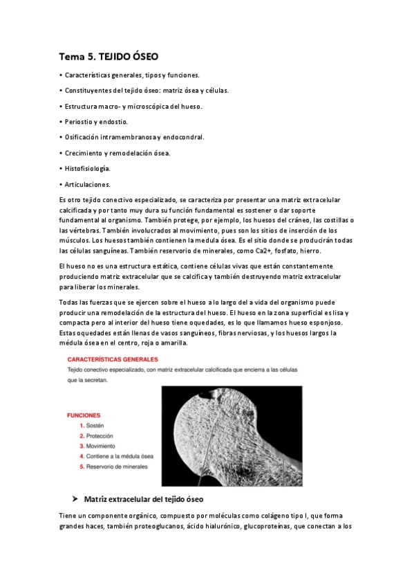 Miniatura del documento TEMA-5.pdf