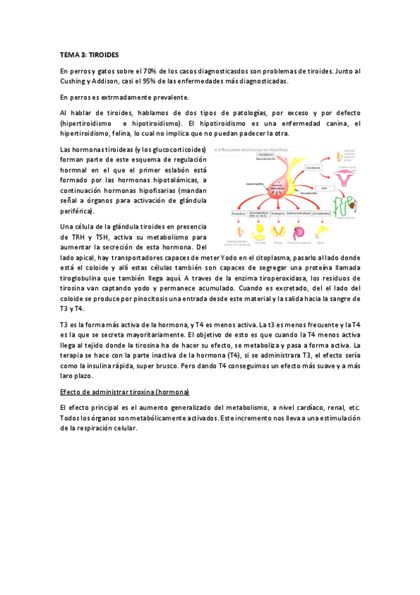 Miniatura del documento t3-tiroides.pdf