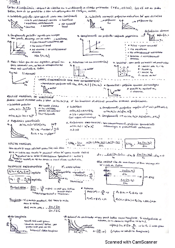 Miniatura del documento Resum-Complet-Micro-1.pdf