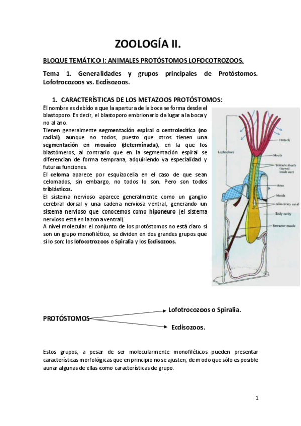 Miniatura del documento Tema-1.pdf