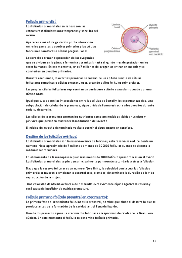 Miniatura del documento TEMA-8.pdf