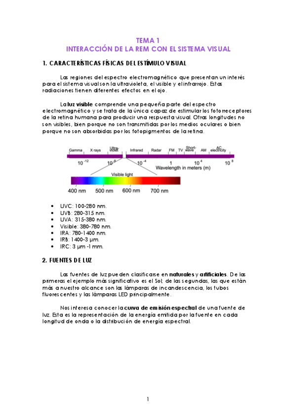Miniatura del documento TEMA-1-REM-en-SV.pdf