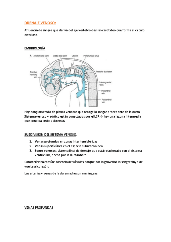 Miniatura del documento drenaje-venoso-del-snc-.pdf