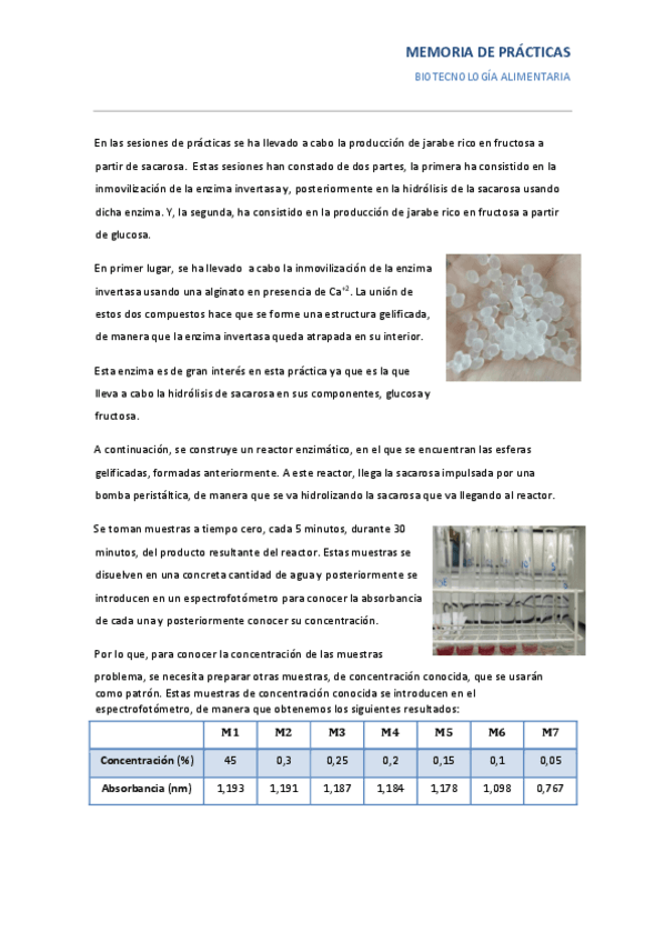 Miniatura del documento MEMORIA-DE-PRACTICAS.pdf