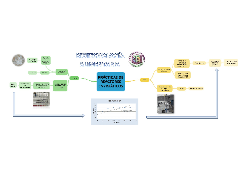 Miniatura del documento MAPA-MENTAL-PRACTICAS.pdf
