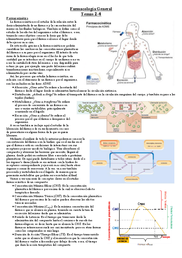 Miniatura del documento Temas-2-4.pdf