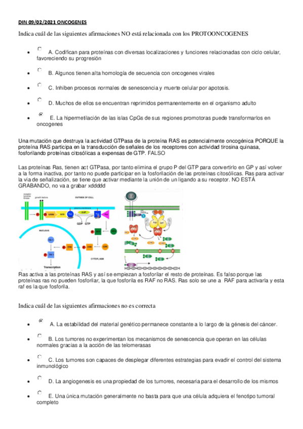 Miniatura del documento DIN-09febr.pdf