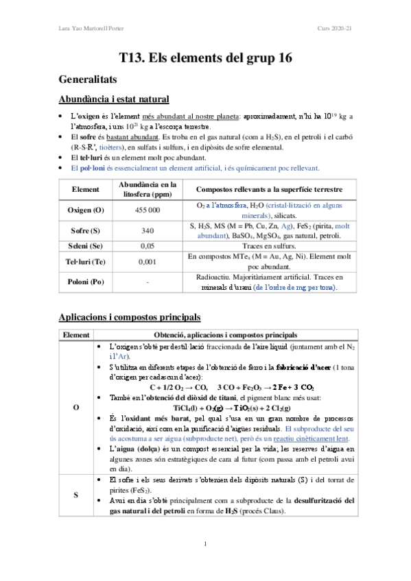 Miniatura del documento T13-Els-elements-del-grup-16.pdf