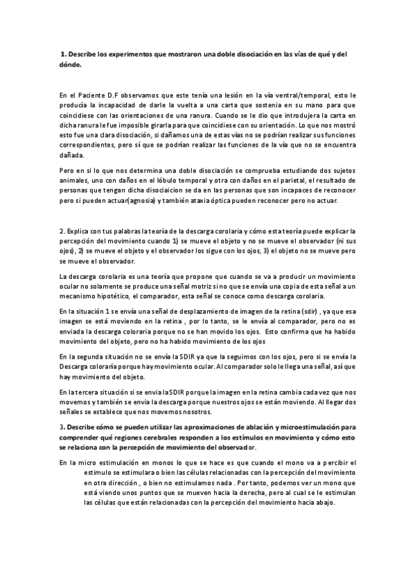 Miniatura del documento examen-pya-Lucas-Munilla-Duenas.pdf