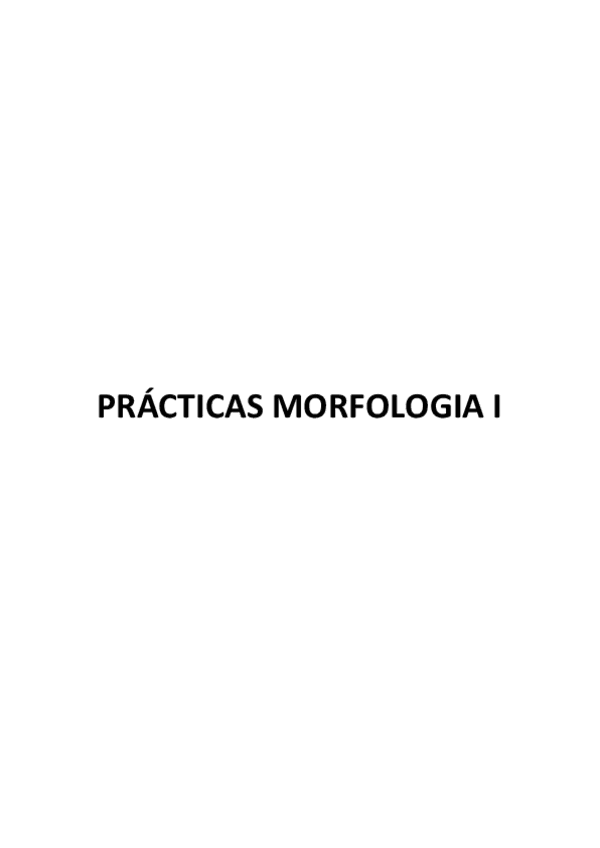 Miniatura del documento PRACTIQUES-MORFOLOGIA-I.pdf