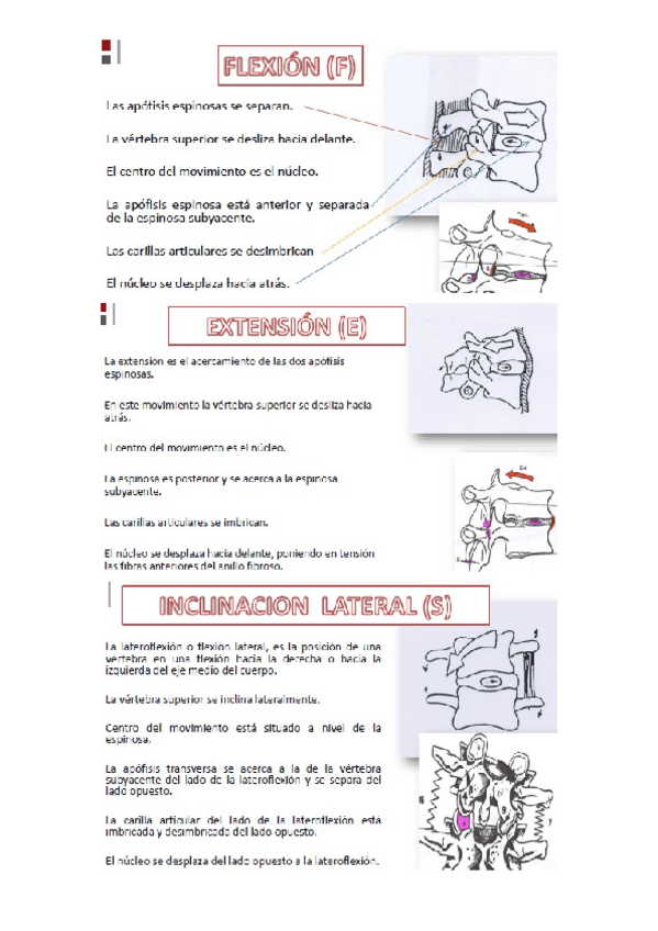 Miniatura del documento teoria.docx