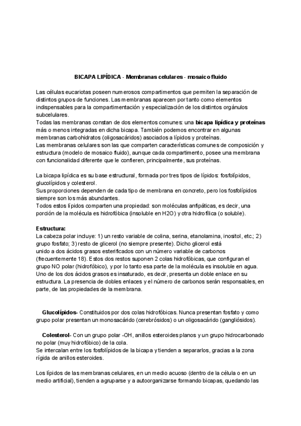Miniatura del documento Preguntas-BCH-resueltas.pdf