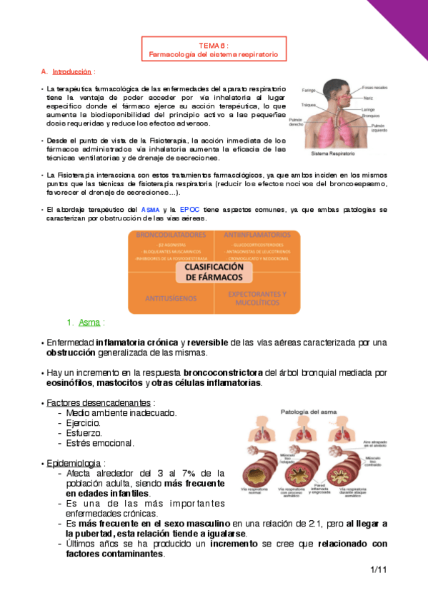 Miniatura del documento tema-6-farma-thalie-.pdf