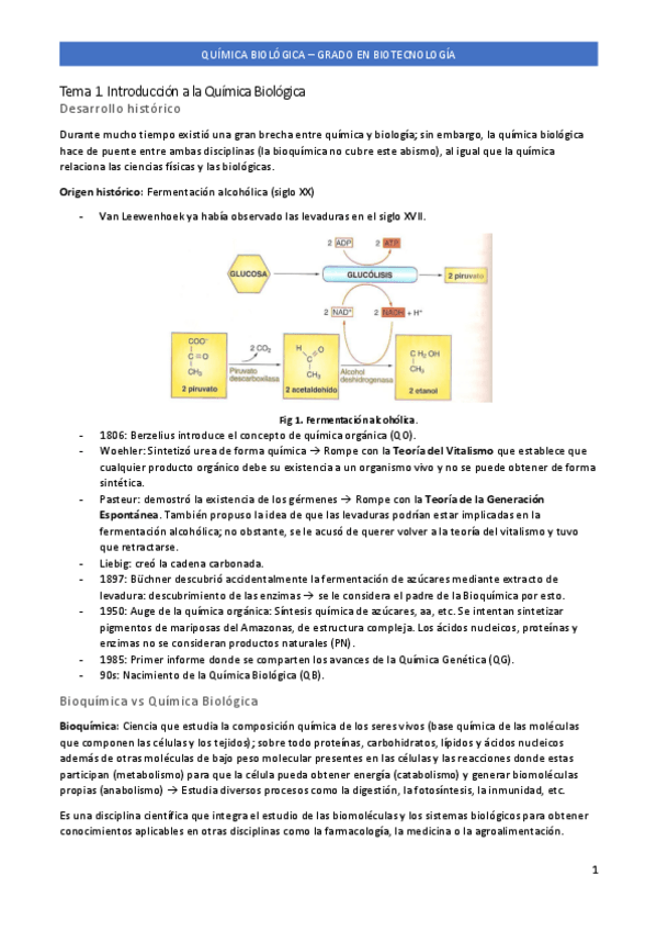 Miniatura del documento Tema-1.pdf