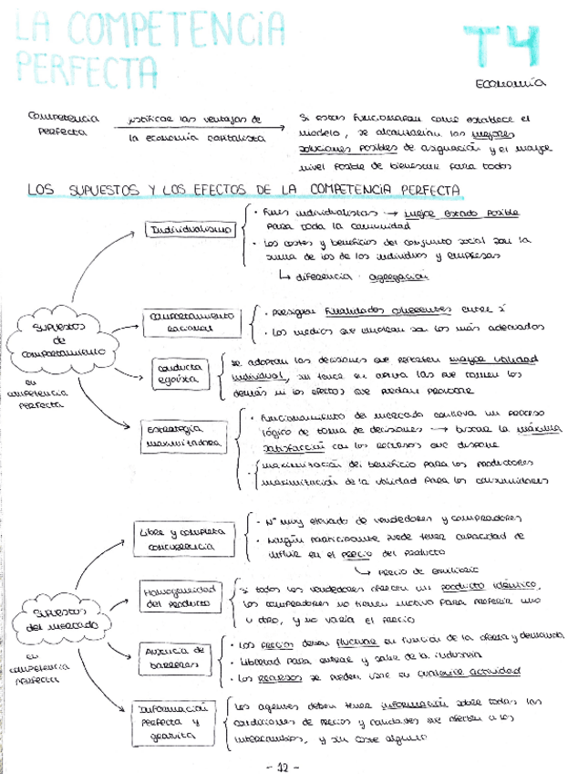 Miniatura del documento ESQUEMA-TEMA-4-ECO.pdf
