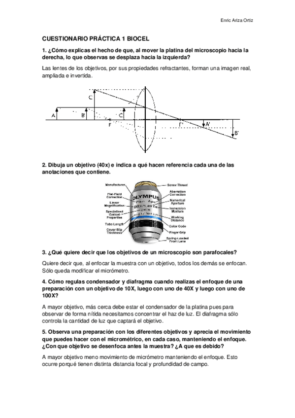 Miniatura del documento CUESTIONARIO-PRACTICA-1-BIOCEL.docx