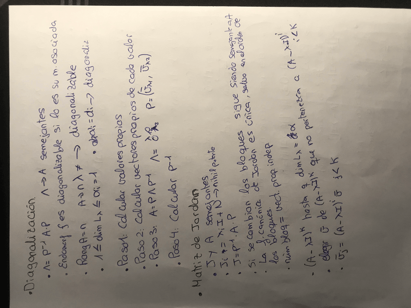 Miniatura del documento 3B75676D-607D-4CD0-8B58-977DA6B5575E.jpg