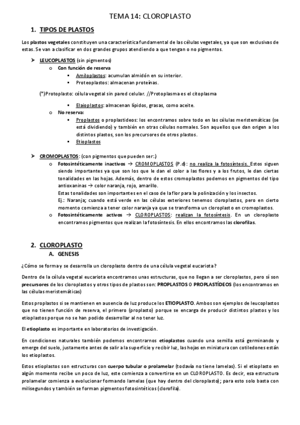 Miniatura del documento TEMA-14.pdf