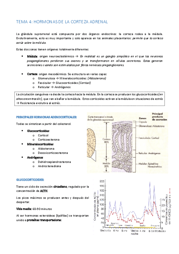Miniatura del documento TEMA 4.pdf