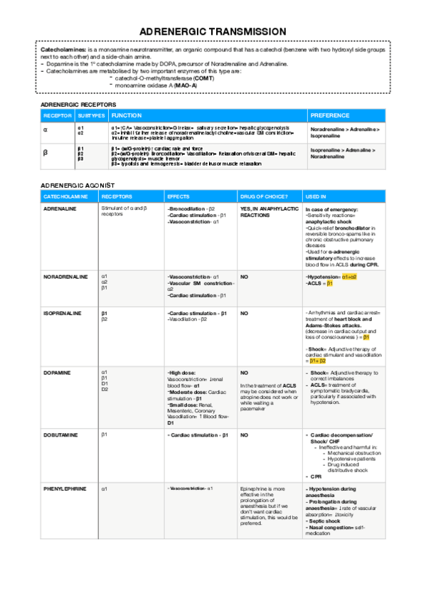Miniatura del documento 1.pdf