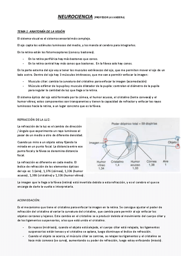 Miniatura del documento Neuroanato-lavandera.pdf
