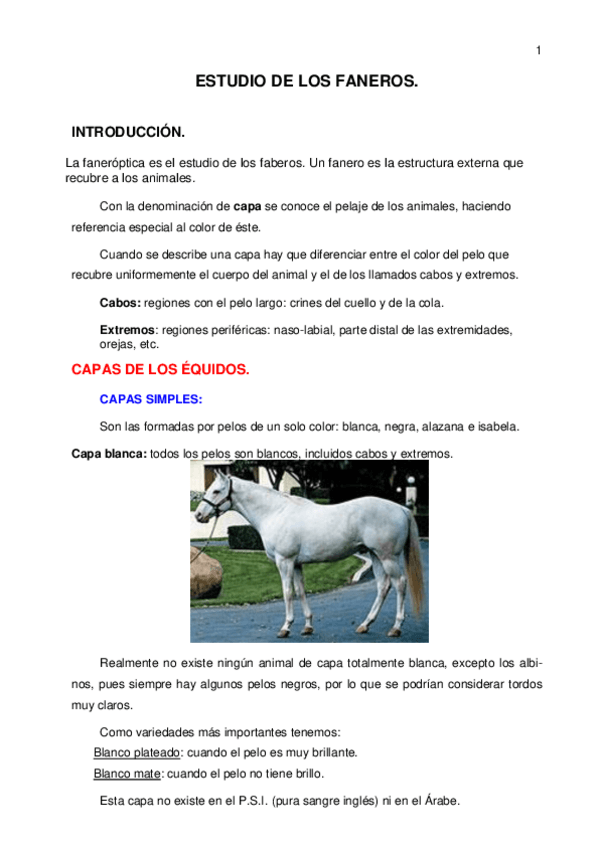 Miniatura del documento practica-faneroptica.pdf
