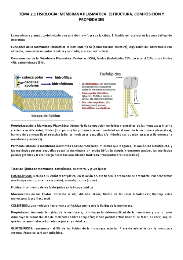Miniatura del documento TEMA 2.1 FISIOLOGÍA.pdf