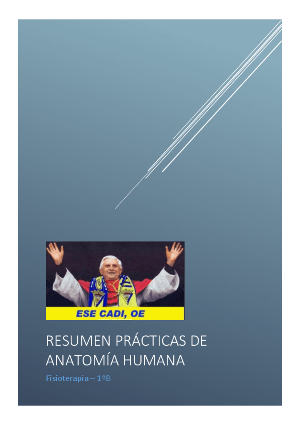 Miniatura del documento Resumen prácticas Anatomía.pdf