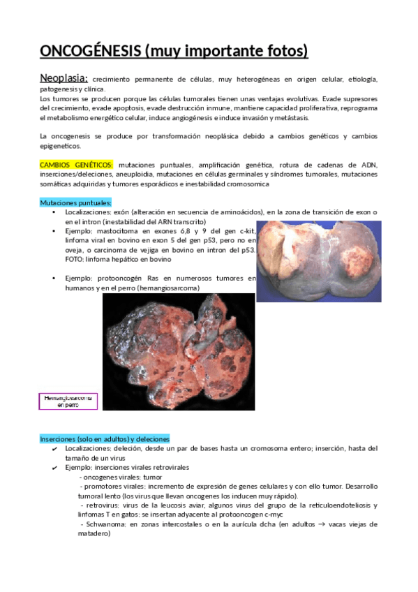 Miniatura del documento ONCOGENESIS.pdf