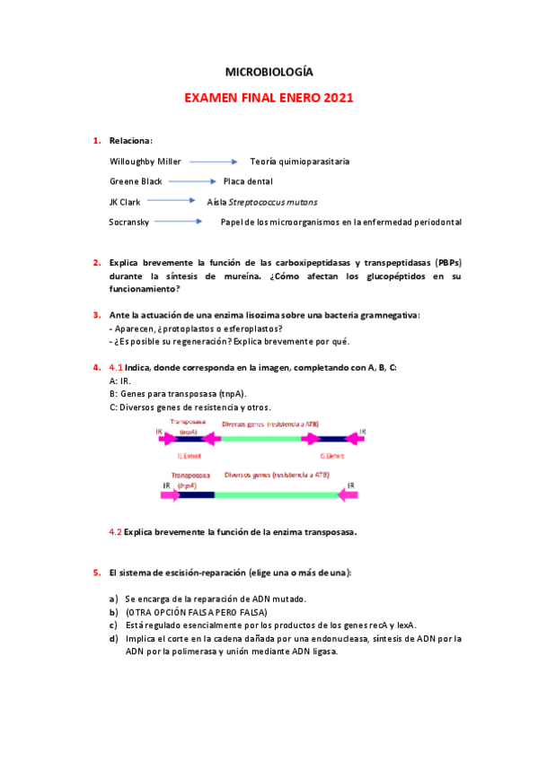 Miniatura del documento EXAMEN-FINAL-ENERO-2021-MICROBIOLOGIA.pdf