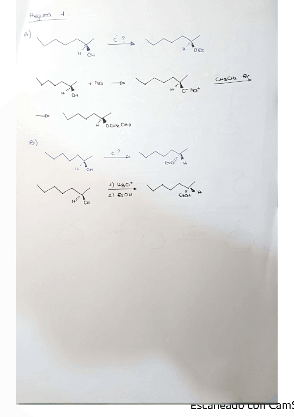 Miniatura del documento examen-organica.pdf