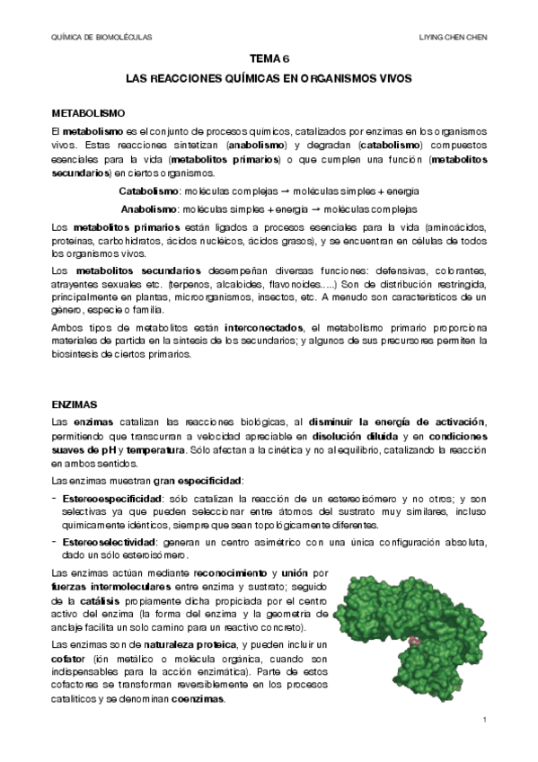 Miniatura del documento QUIMICA-BIOMOLECULAS-6.pdf