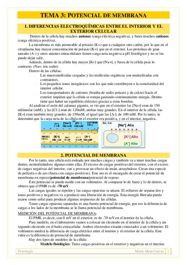 Miniatura del documento TEMA 3. Potencial de membrana