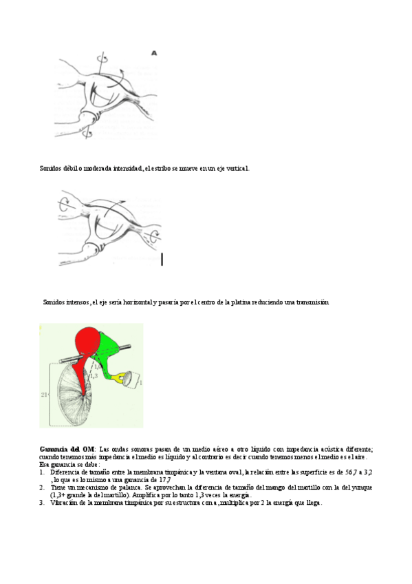 Miniatura del documento Fisiologia-dibujos.pdf