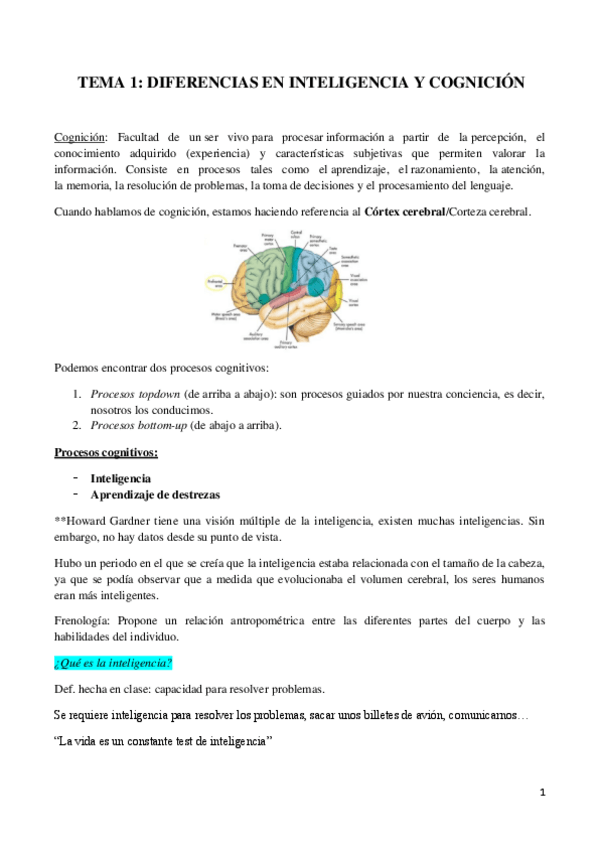 Miniatura del documento Tema 1-Diferencias individuales en inteligencia y cognición.pdf