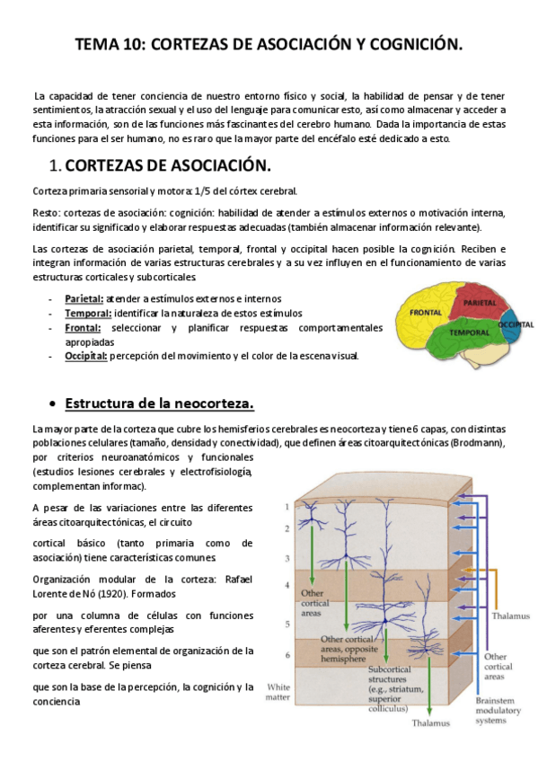 Miniatura del documento Tema-10.pdf