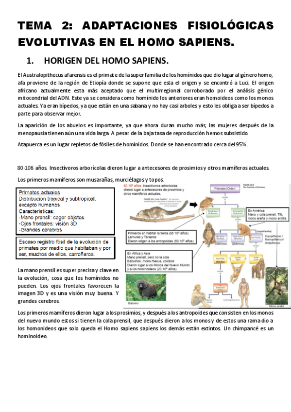 Miniatura del documento Tema-2.pdf