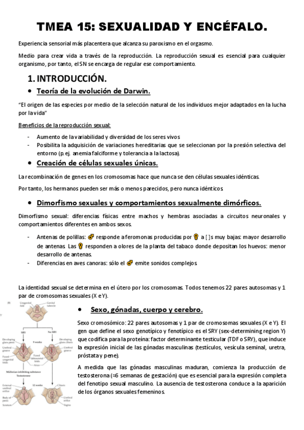 Miniatura del documento Tema-15.pdf