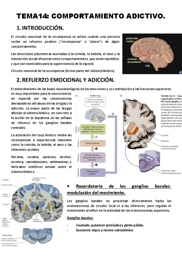 Miniatura del documento Tema-14.pdf