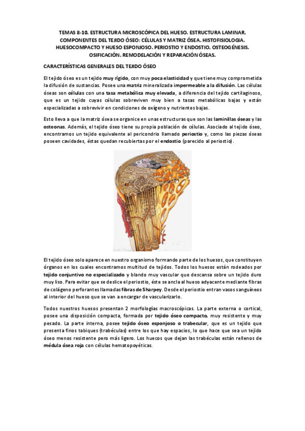 Miniatura del documento TEMAS 8-10.pdf