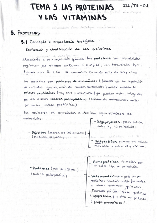 Miniatura del documento proteinas-vitaminas-y-enzimas.pdf