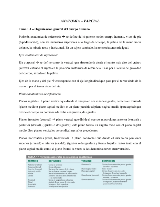 Miniatura del documento Anatomia-Parcial.pdf