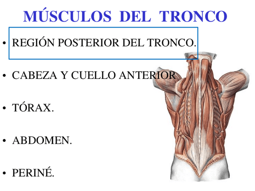 Miniatura del documento 3.pdf