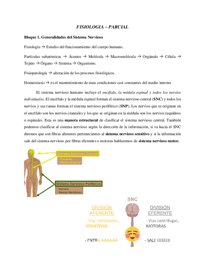 Miniatura del documento Fisiologia-Parcial.pdf