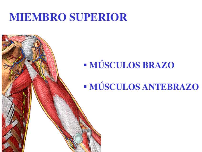 Miniatura del documento 3.pdf