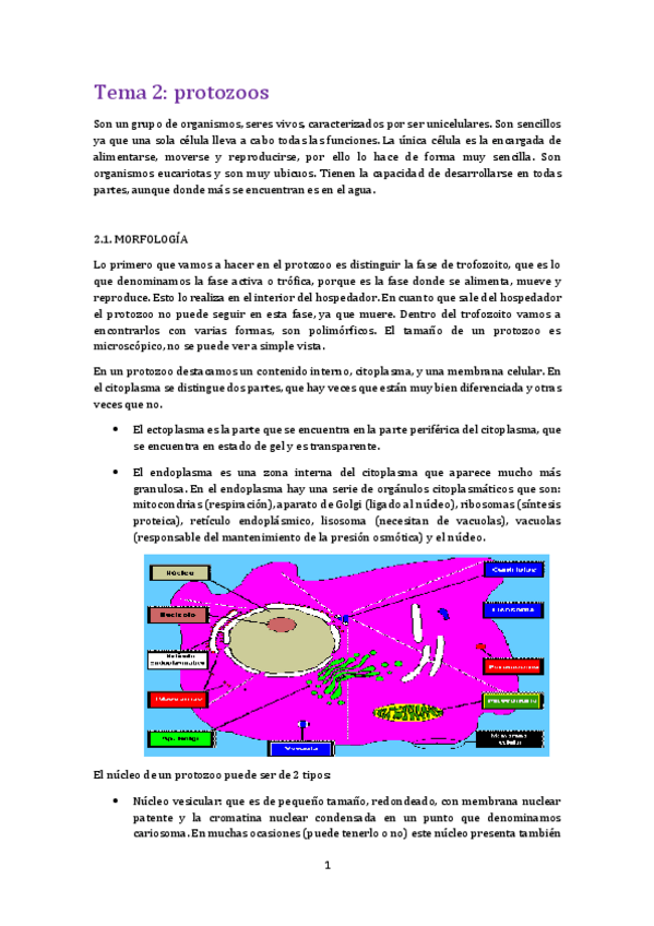 Miniatura del documento Tema 2 para.pdf