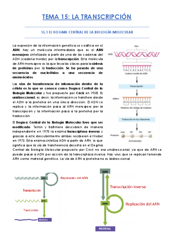Miniatura del documento TEMA-15.pdf