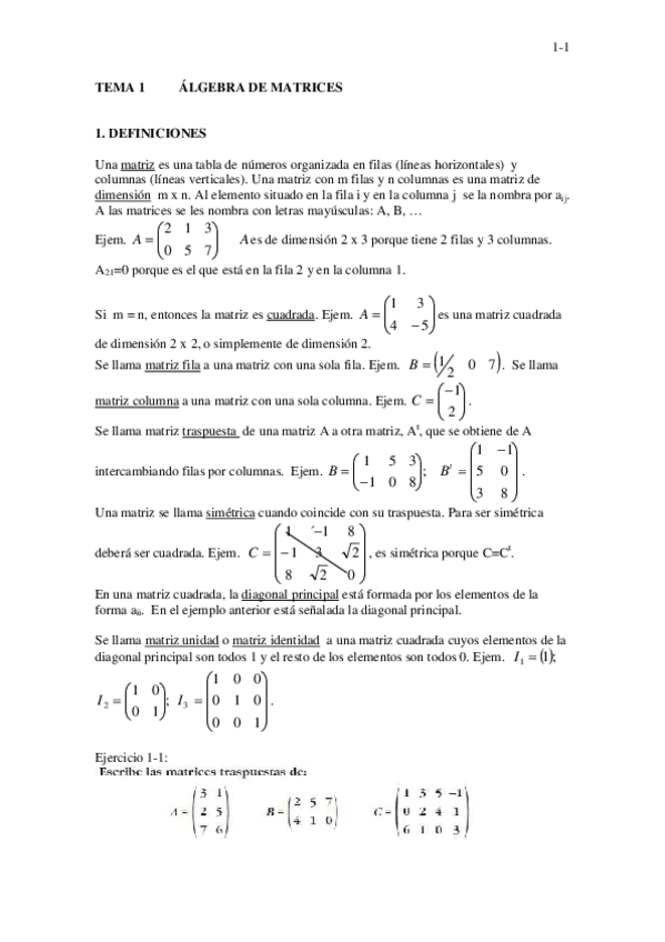 Miniatura del documento 1-2o-MATRICES-teoria.pdf
