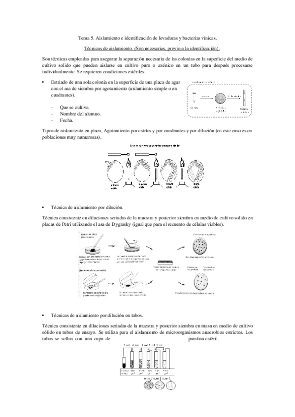 Miniatura del documento TEMA-5.docx