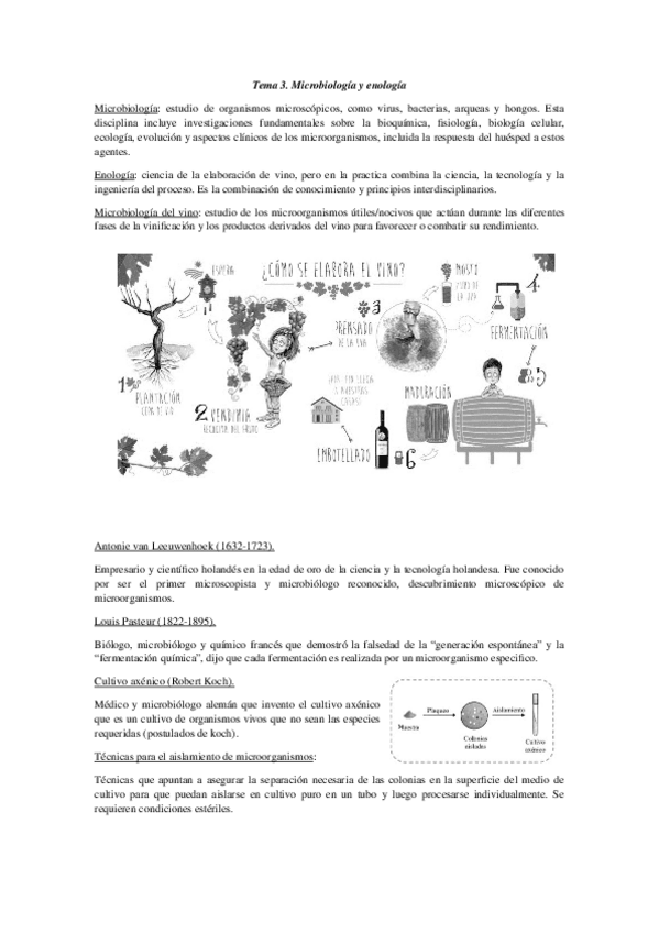Miniatura del documento TEMA-3.docx